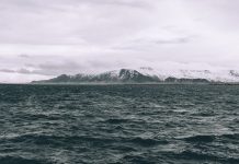 पृथ्वीचे महासागर एकेकाळी हिरवेगार होते आणि शास्त्रज्ञ म्हणतात की ते पुन्हा रंग बदलू शकतात